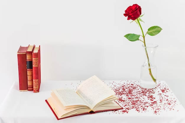 Foto de um livro de poesia em português com uma rosa vermelha marcando uma página