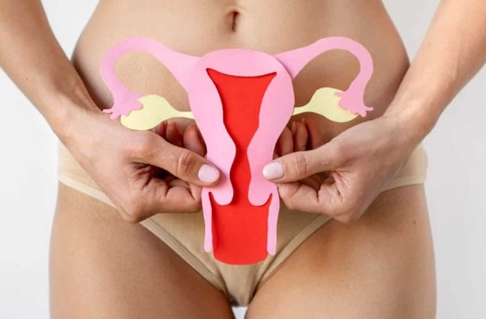 Como o Ciclo Menstrual Afeta Seu Sexo e Sua Lubrificação